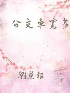 公交车宽多少米