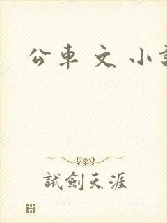 公车 文 小说