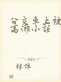 公交车上被摸到高潮小说