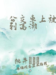 公交车上被人摸到高潮