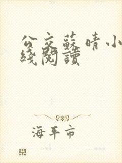 公交苏晴小说在线阅读