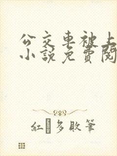 公交车被上高潮小说免费阅读