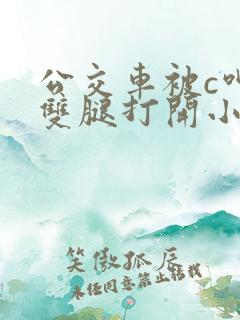 公交车被c呻吟双腿打开小说