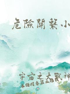 危险关系小说
