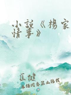 小说《杨家洼的情事》
