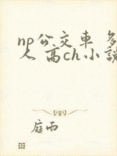 np公交车 多人 高ch小说