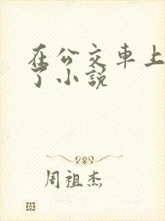 在公交车上高潮了小说