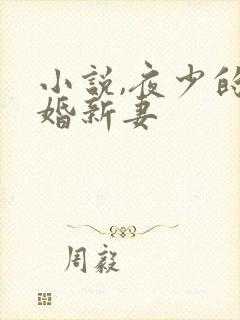 小说,夜少的二婚新妻
