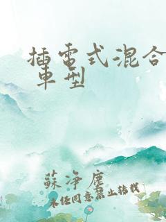 插电式混合动力 车型