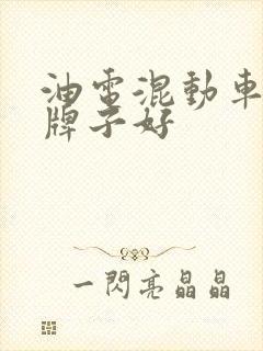 油电混动车什么牌子好