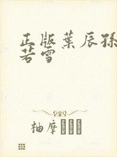 正版叶辰孙怡夏若雪