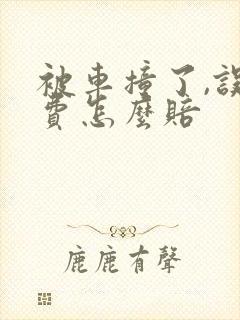 被车撞了,误工费怎么赔