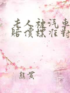 老人被汽车撞了赔偿标准对方全责