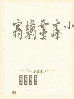 官场奇才小说陆羽刘云峰