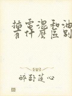 插电混和油电混有什么区别哪个好