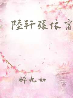 陆轩张依甯小说
