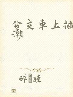 公交车上插入高潮