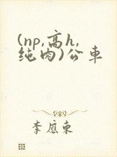 (np,高h,纯肉)公车