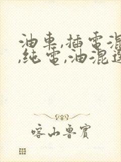 油车,插电混动,纯电,油混选哪个好