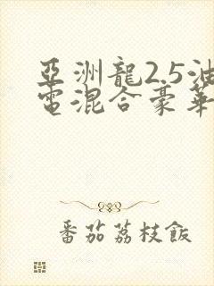 亚洲龙2.5油电混合豪华版