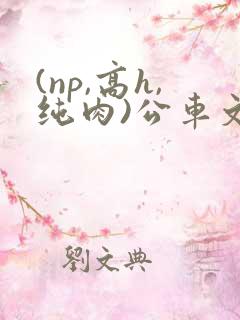 (np,高h,纯肉)公车文
