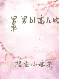 男男bl高h肉车