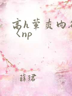 高h荤爽肉欲文〈np