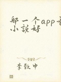 哪一个app看小说好