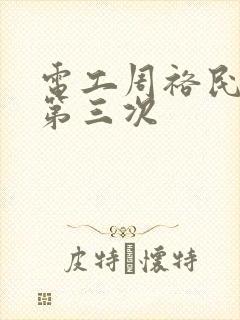电工周裕民刘芳第三次