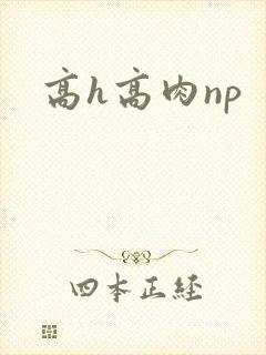 高h高肉np
