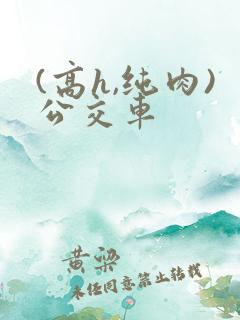 (高h,纯肉)公交车