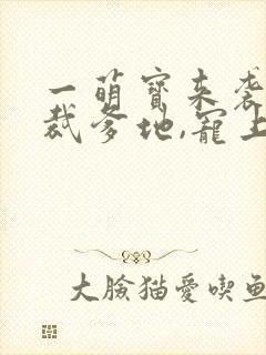 一萌宝来袭:总裁爹地,宠上天