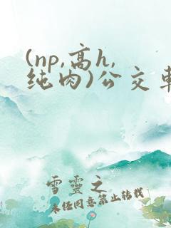 (np,高h,纯肉)公交车