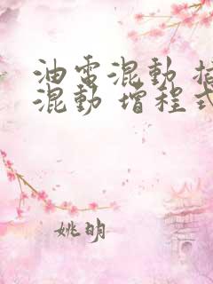 油电混动 插电混动 增程式
