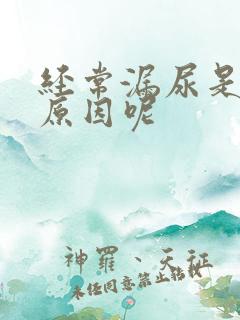 经常漏尿是什么原因呢