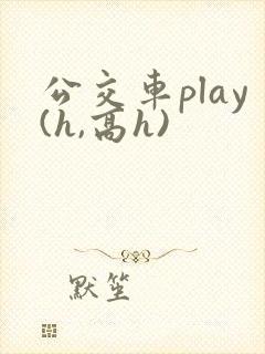 公交车play(h,高h)