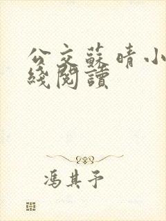 公交苏晴小说在线阅读