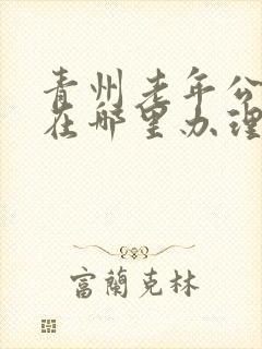 青州老年公交卡在哪里办理
