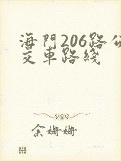海门206路公交车路线
