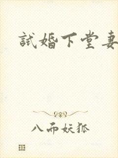 试婚下堂妻