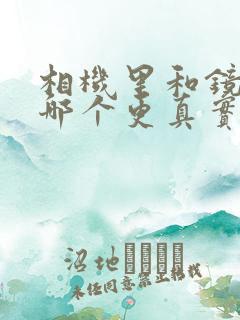 相机里和镜子里哪个更真实