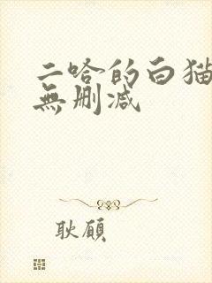 二哈的白猫师尊无删减
