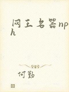 网王名器np高h