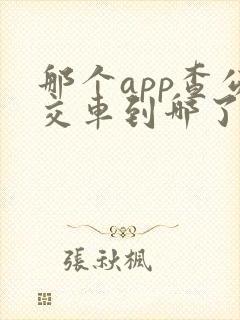 那个app查公交车到哪了