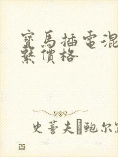 宝马插电混动3系价格