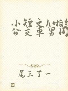 小短文h啪纯肉公交车男同