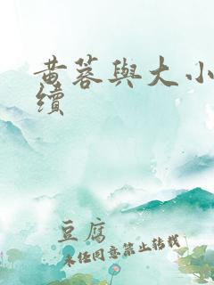 黄蓉与大小武后续