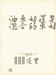 油车好还是油电混合的车好