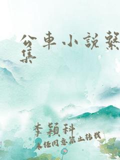 公车小说系列合集