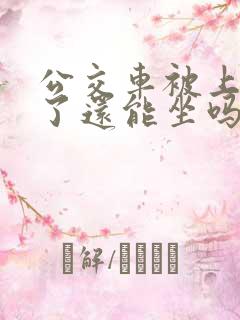 公交车被上高潮了还能坐吗小说